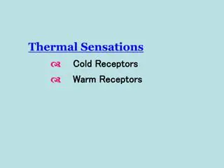 The Sensory Experience of Cold and Warm Receptors