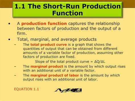 The Short Run Production Function