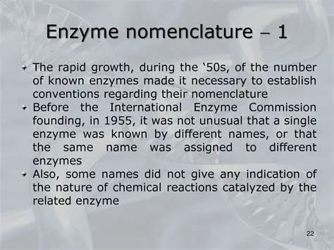 The Significance of Enzyme Nomenclature