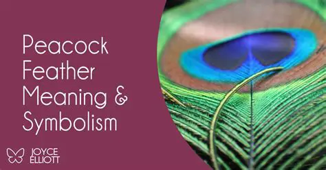 The Significance of Petacon