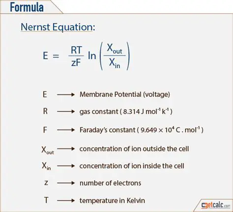 The Simplified Form of the Nernst Equation