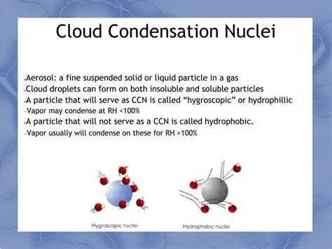 The Size of Cloud Condensation Nuclei