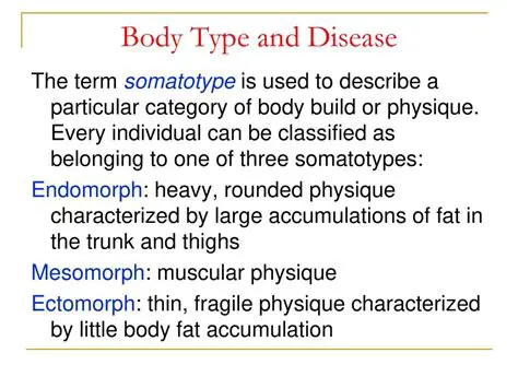The Somatotype Calculation Process