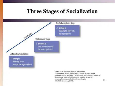 The Stages of Socialization