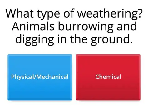 The Statement that Does Not Describe How Rocks May be Weathered