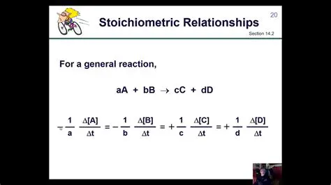 The Stoichiometric Relationship