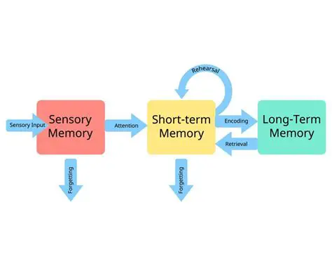 The Storage Phase of Memory Processing