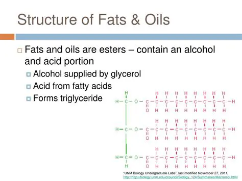 The Structure of Fats and Oils