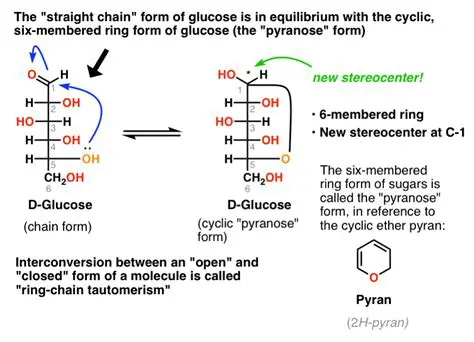 The Structure of Glucose in Pyranose Ring Form