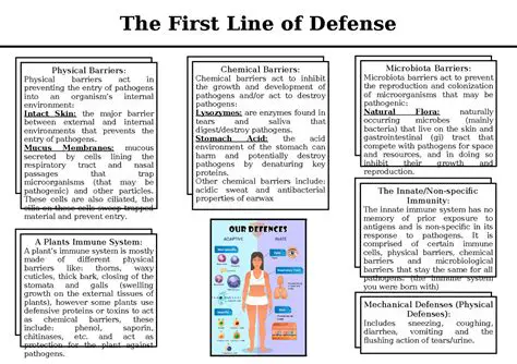 The Structure of the First Line of Defense