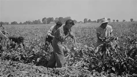 The Struggle of Farm Laborers