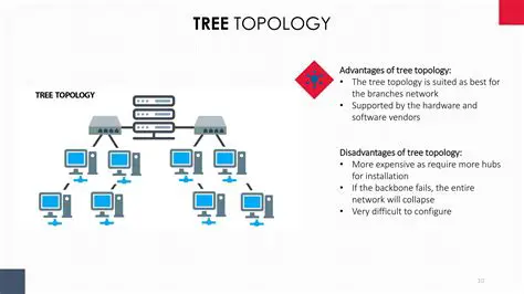 The study of the topology of flows