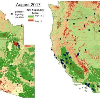 The study was conducted in August and September 2017