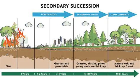The Succession Process in Martelu Purba Nature Reserve