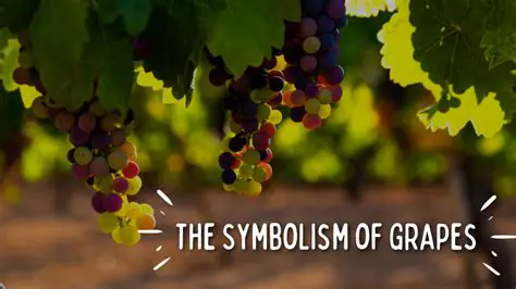 The Symbolism of the Visit