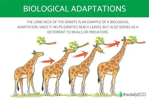 The Theory of Evolutionary Adaptation