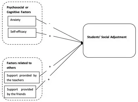 The Theory of Social Adjustment in Schools