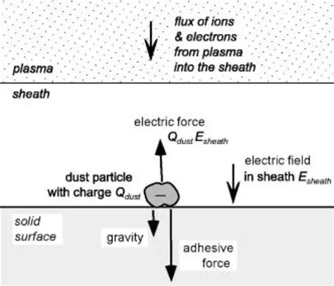The Three Forces Acting on the Particle
