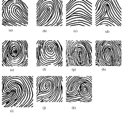 The Three Main Categories of Fingerprint Patterns