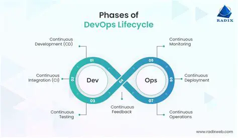 The Three Main Program Areas of Drive Discovery