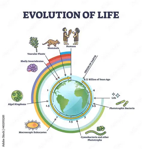 The Timeline of Life on Earth