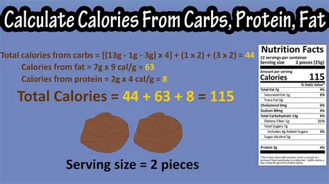 The Total Calories in the Meal