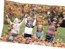 The Total Number of Friends