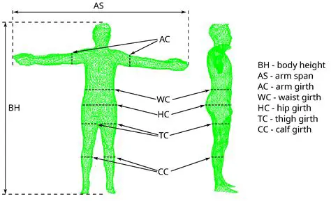 The Two Essential Anthropometric Measurements for BMI Calculation