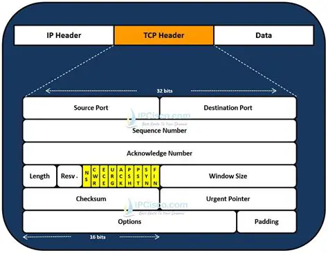 The Two Fields Used in TCP and UDP Headers