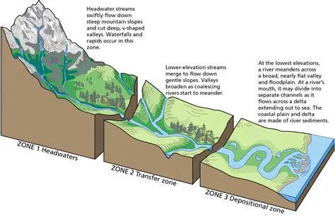 The Unique Characteristics of River Middle Sections