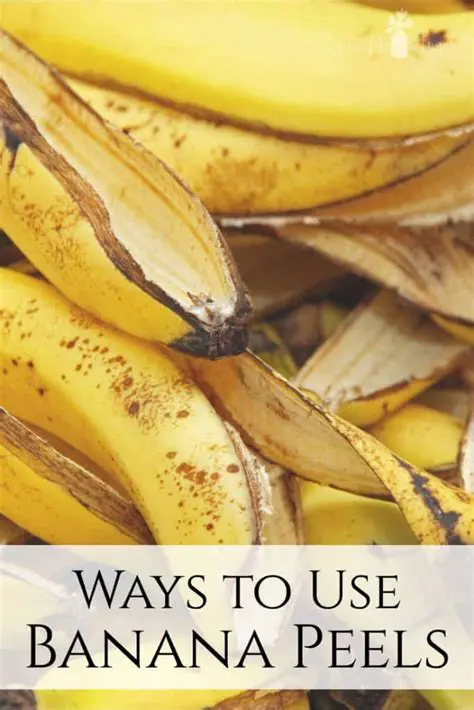 The Versatility of Banana Peels