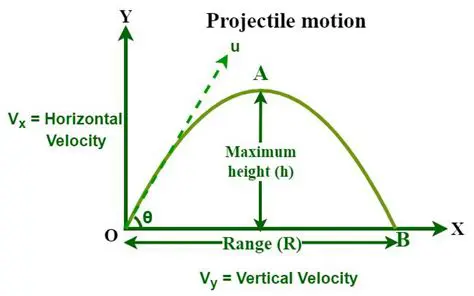 The Vertical Velocity Function