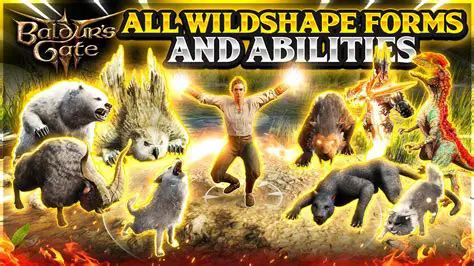 The Wild Shape Ability and Spellcasting