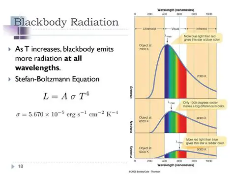 Theory of Black Body Radiation