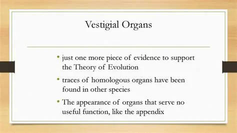 theory of vestigial organs