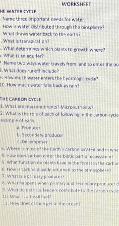 Three Important Needs for Water