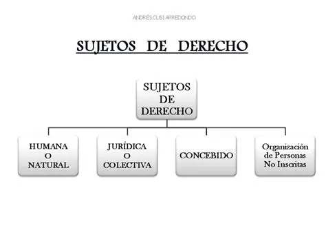 Tipos de Sujetos de Derecho