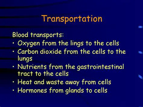 Transporting nutrients and hormones