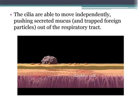 Trapping foreign particles