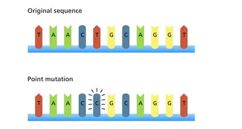 Two Ways Mutations are Created