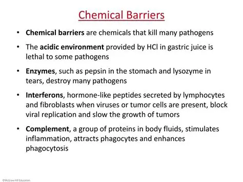 Types of Chemical Barriers