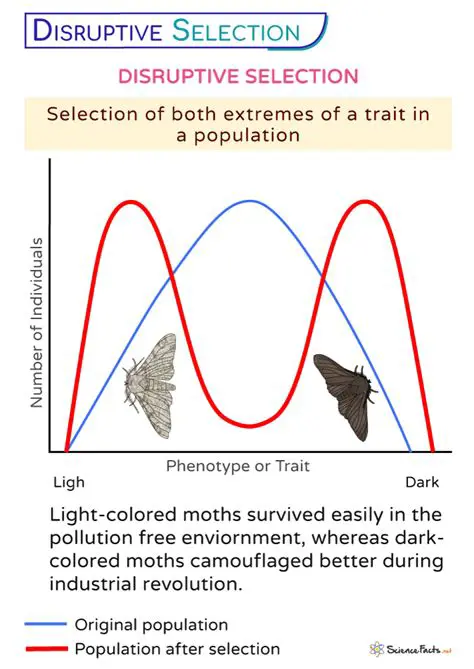 Types of Disruptive Selection Events