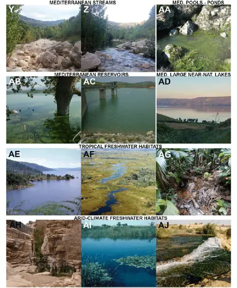 Types of Freshwater Ecosystems