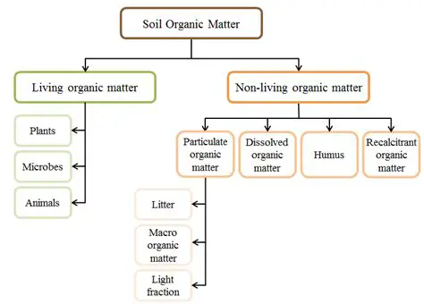 Types of Organic Matter in Soil