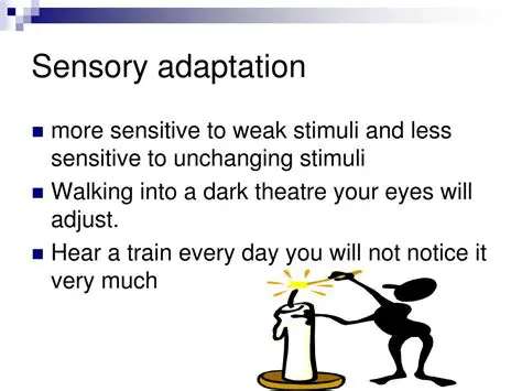 Types of Sensory Adaptation