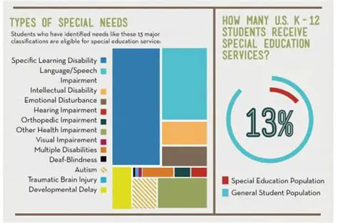 Types of Special Needs Issues
