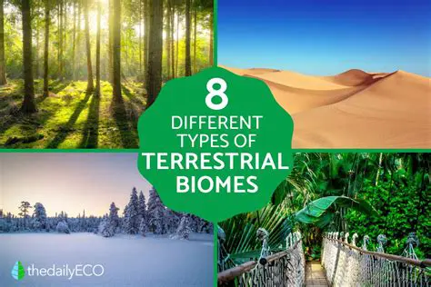 Types of Terrestrial Biomes