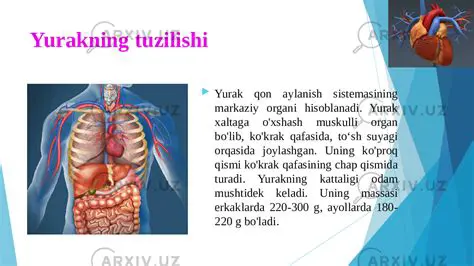 Ukrain tilida ochiq qon aylanishining sestimasi