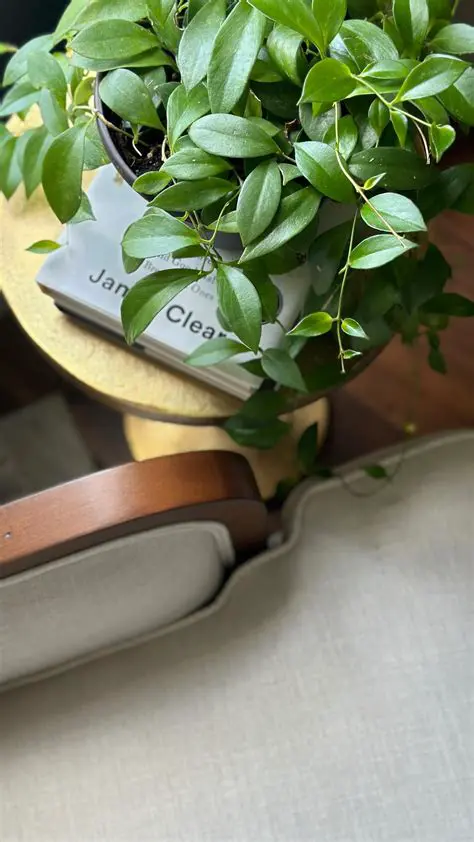 The Ultimate Guide to Multi-Purpose Gift Items: Elevating Practicality with Thoughtfulness