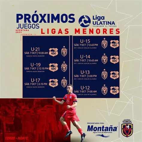 UNAFUT: The Driving Force Behind Costa Rican Professional Football's Success